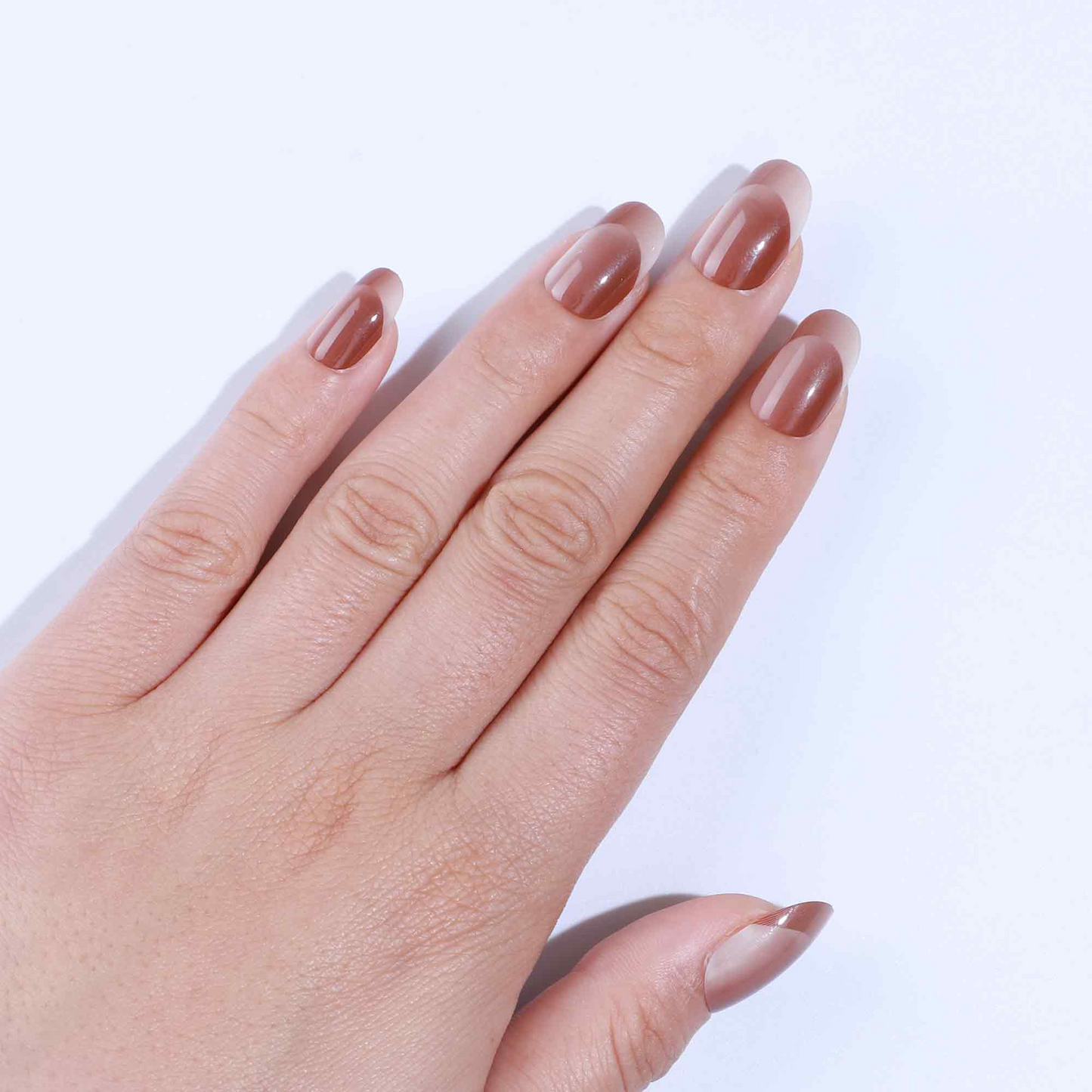BROWN ILLUSION FRENCH