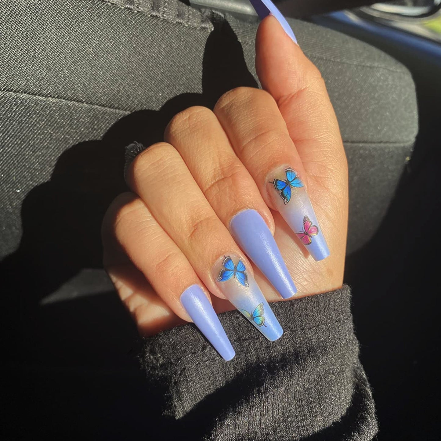 BLUE BUTTERFLY